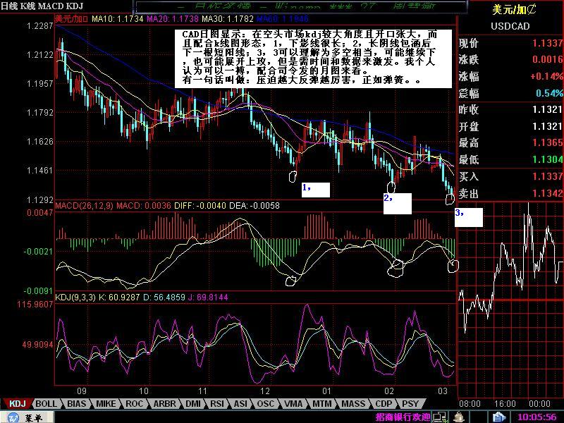 cad060303day pic.JPG